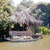 Jungle Cruise, July 1960