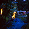 Disneyland Jungle Cruise dock area September 1962