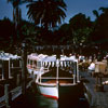 Jungle Cruise, December 1961