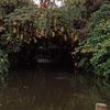 Jungle Cruise, June 1961