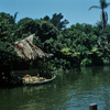 Jungle Cruise, July 1960