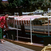 Jungle Cruise, July 1961