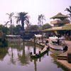 Adventureland Jungle Cruise, March 1956