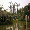 Adventureland Jungle Cruise, March 1956