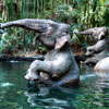 Disneyland Jungle Cruise Elephant pool July 2012