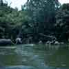 Disneyland Jungle Cruise Elephant Pool July 1967