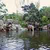 Jungle Cruise, April 1963