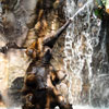 Jungle Cruise Elephant pool, May 2008