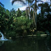 Jungle Cruise, October 1956