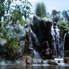 Jungle Cruise 1960s