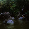 Jungle Cruise photo, October 1966