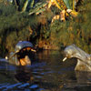 Disneyland Jungle Cruise photo, 1957