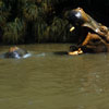 Disneyland Jungle Cruise photo, September 1957