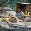 Disneyland Jingle Cruise 2015