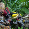 Disneyland Jungle Cruise native area photo, January 2013