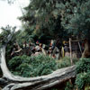 Jungle Cruise Natives, May 1960