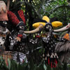 Jungle Cruise native area, February 2010