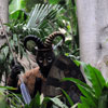 Jungle Cruise native area, February 2010