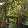 Jungle Cruise Ancient Shrine September 2007