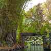 Jungle Cruise Ancient Shrine September 2007