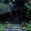 Jungle Cruise photo, Date Unknown