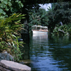 Jungle Cruise, September 1965