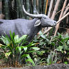 Disneyland Jungle Cruise photo, February 2011