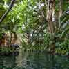 Jungle Cruise, October 2007