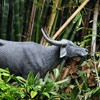 Jungle Cruise water buffalo, May 2008