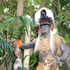 Jungle Cruise, April 2008