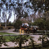 Knotts Berry Farm April 1958