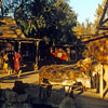 Knotts Berry Farm 1956