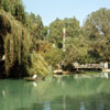 Knotts Berry Farm photo, September 1965