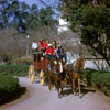 Knotts Berry Farm photo, January 1961