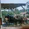 Knotts Berry Farm Butterfield Stagecoach July 1963