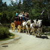 Knotts Berry Farm photo, May 1960