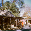 Knotts Berry Farm February 1970