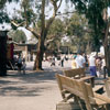 Knotts Berry Farm July 1961