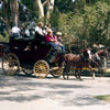 Knotts Berry Farm July 1961