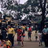 Knotts Berry Farm 1950s