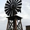 Knotts Berry Farm Ghost Town photo, April 2010