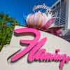 The Flamingo Hotel, October 2020