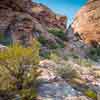 Red Rock Canyon, Las Vegas, October 2020