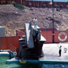 Marineland August 1958