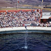 Marineland September 1958