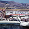 Marineland September 1958