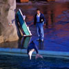 Marineland January 1962