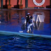 Marineland January 1962