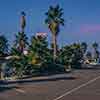 Motel on Harbor Boulevard, Anaheim, California, October 1960