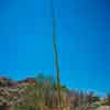 Vasquez Rocks in Los Angeles, California June 2015